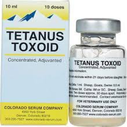 Tetanus Toxoid Vaccine